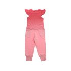 Stella Mccartney Flox Shaded Jumpsuit