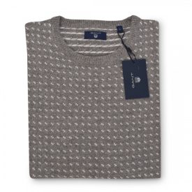 Gant Man Printed T-Shirt
