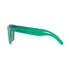 Oakley OO9013 C6 Frogskins