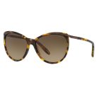 Ralph Lauren RA 5150 504/13