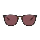 Ray-Ban RB 4171 639175 Erika