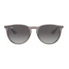 Ray-Ban RB 4171 65138G Erika