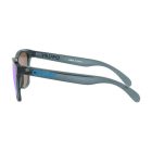 Oakley OO 9013 F6 Frogskins