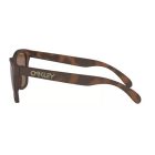 Oakley OO 9013 C5 Frogskins