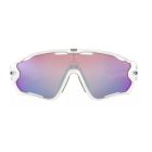 Oakley OO 9290 21 Jaw Breaker